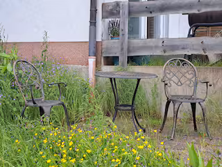 Galerie-Bild 8